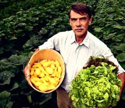 allendale farmer